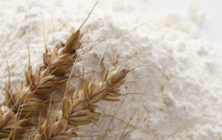 用面粉的质量来控制面团的质量。